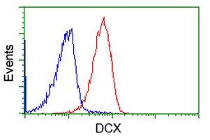 m01053 2 anti doublecortin dcx mouse monoclonal antibody clone id oti4a3 flow cytometry testing 4