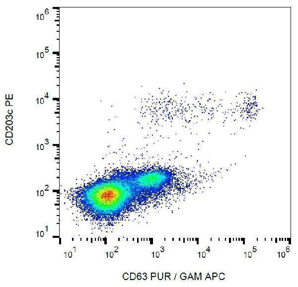 m01080 2 hu cd63 primary antibodies fc testing 5