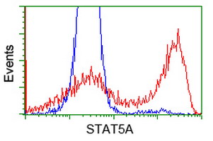 m01087 2 anti stat5a mouse monoclonal antibody clone id oti9f7 flow cytometry testing 11