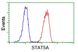 m01087 2 anti stat5a mouse monoclonal antibody clone id oti9f7 flow cytometry testing 13