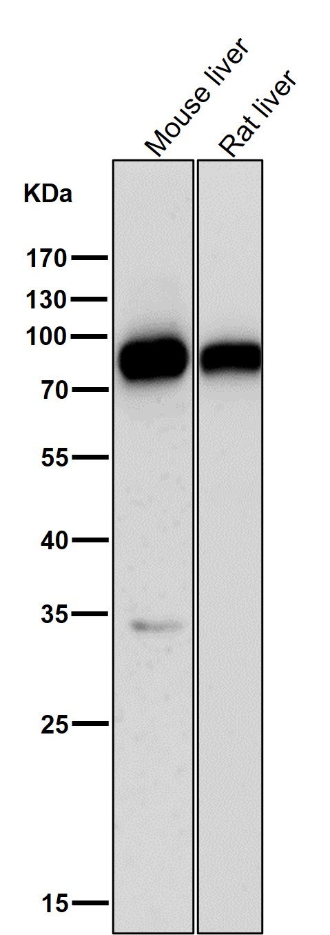 m01093 wb7