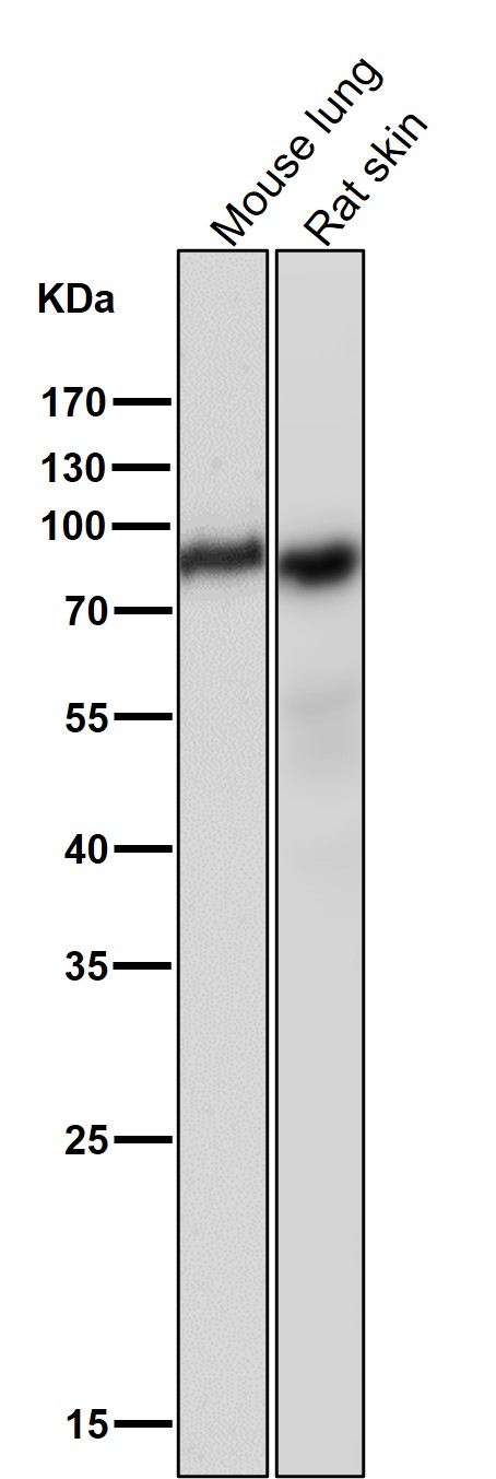m01093 wb8