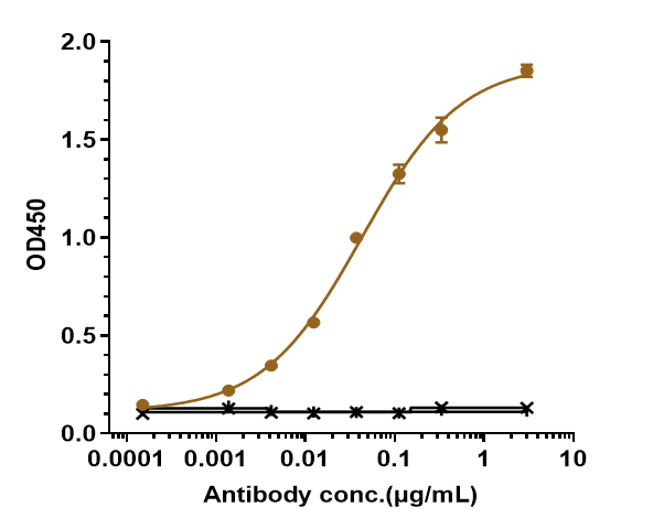 Immobilized human IL 23P40 His at 2 &mug/mL can bind Anti-IL-23a Reference Antibody (risankizumab)