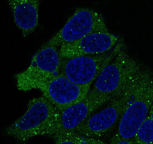 m01103 2 if