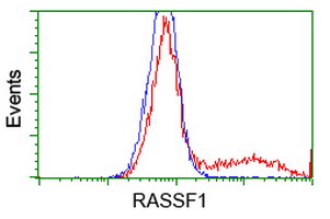 m01104 1 anti rassf1 mouse monoclonal antibody clone id oti2b11 flow cytometry testing 14