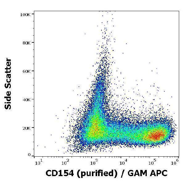 Flow cytometry surface staining pattern of human stimulated (PMA + ionomycin) peripheral blood mononuclear cells stained using anti-human CD154 (24-31) purified antibody (concentration in sample 2 µg/ml) GAM APC