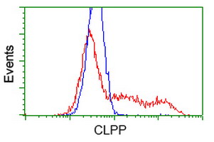 m01117 anti clpp mouse monoclonal antibody clone id oti1f6 flow cytometry testing 12