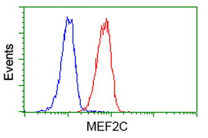 m01131 1 anti mef2c mouse monoclonal antibody clone id oti4f7 flow cytometry testing 14