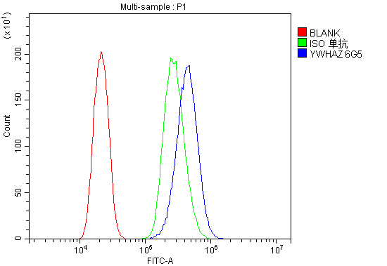 m01141 ywhaz primary antibodies fcm testing 2