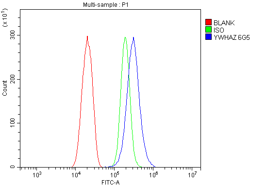 m01141 ywhaz primary antibodies fcm testing 3