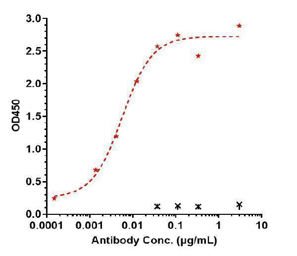 Immobilized human IL-12b His at 2 &mug/mL can bind Anti-IL-12b Reference Antibody (ebdarokimab)