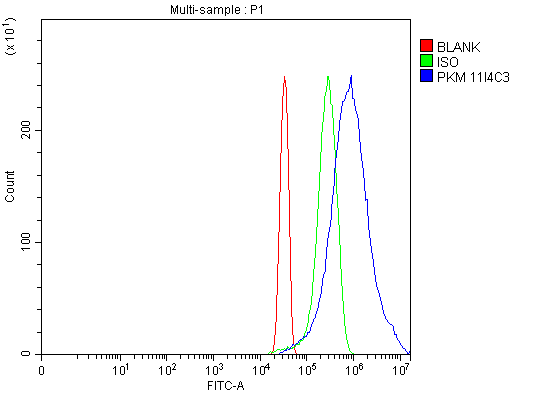 m01173 1 pkm primary antibodies fcm testing 5