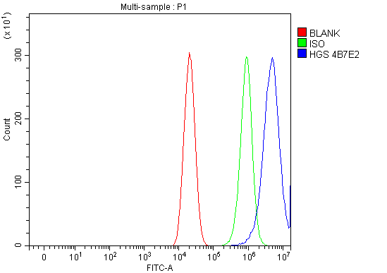  Flow Cytometry analysis of Caco-2 cells using anti-HGS antibody (M01174-2)