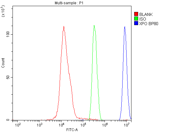 Flow Cytometry analysis of SiHa cells using anti-CRM1 antibody (M01180). Overlay histogram showing SiHa cells stained with M01180 (Blue line).The cells were blocked with 10% normal goat serum. And then incubated with mouse anti-CRM1 Antibody (M01180,1μg/1x106 cells) for 30 min at 20°C. DyLight®488 conjugated goat anti-mouse IgG (BA1126, 5-10μg/1x106 cells) was used as secondary antibody for 30 minutes at 20°C. Isotype control antibody (Green line) was rabbit IgG (1μg/1x106) used under the same conditions. Unlabelled sample (Red line) was also used as a control.