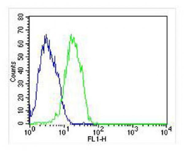 m01200 1 anti fhit antibody fc testing 2