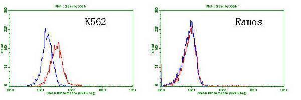 Flow cytometric Analysis of K562 and Ramos cells
using anti-TNFRSF8 antibody (M01225-1), (Red),
compared to a nonspecific negative control
antibody, (Blue) (1:100)