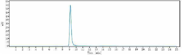 The purity of Anti-F12/Factor XII Reference Antibody (garadacimab)is more than 100%