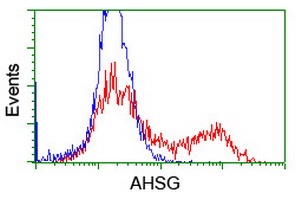 m01251 anti fetuin a ahsg mouse monoclonal antibody clone id oti2h2 flow cytometry testing 5