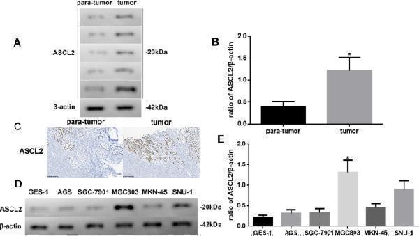 m01263 2 12957_2022_2722_fig2_html