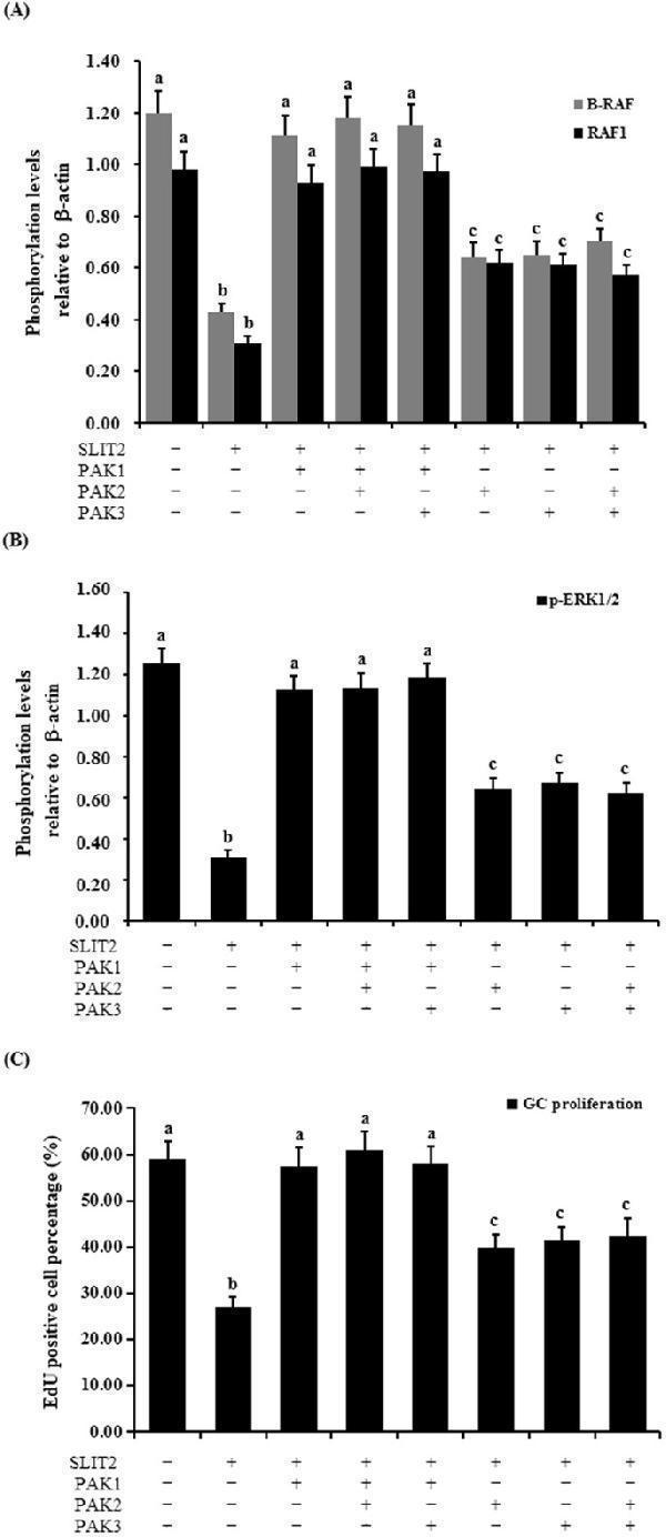 m01263 4 41598_2018_27601_fig11_html