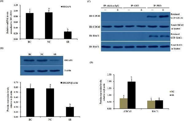m01263 4 41598_2018_27601_fig7_html