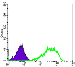 m01275 2 xrcc5 primary antibodies fcm testing 1