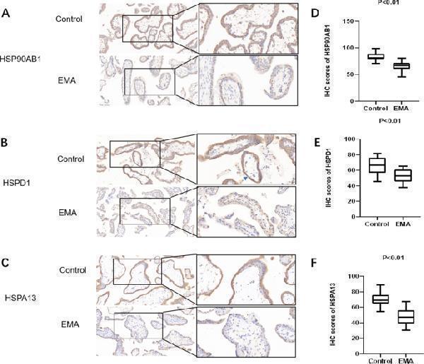 m01280 3 12953_2023_213_fig3_html