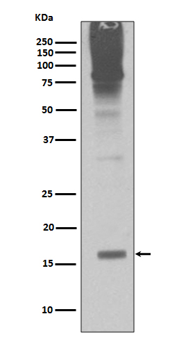 m01282 2 wb