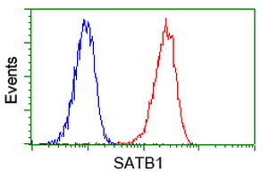 m01312 1 anti satb1 mouse monoclonal antibody clone id oti11e8 flow cytometry testing 4
