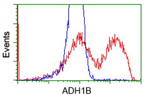 m01316 anti adh1b mouse monoclonal antibody clone id oti4f12 flow cytometry testing 12
