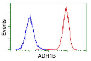 m01316 anti adh1b mouse monoclonal antibody clone id oti4f12 flow cytometry testing 13
