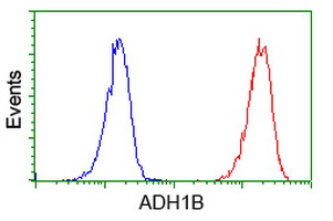 m01316 anti adh1b mouse monoclonal antibody clone id oti4f12 flow cytometry testing 14