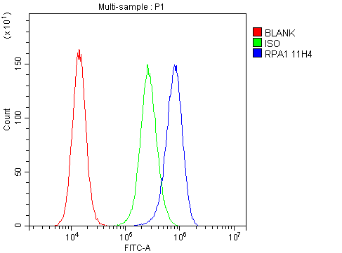 m01317 2 rpa70 primary antibodies fcm testing 6