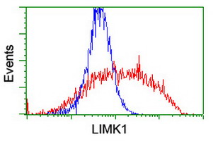 m01323 anti lim kinase 1 limk1 mouse monoclonal antibody clone id oti6b4 flow cytometry testing 9