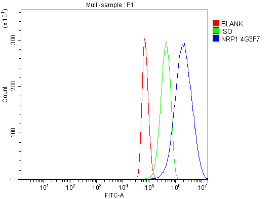  Flow Cytometry analysis of U87 cells using anti-Neuropilin 1 antibody (M01324-1)