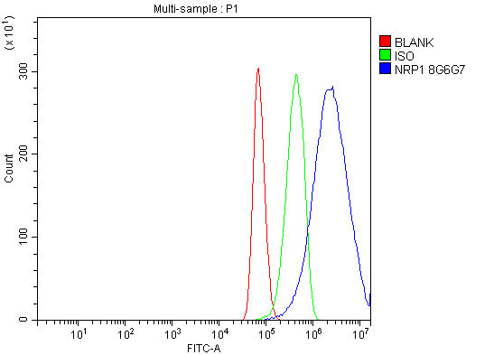  Flow Cytometry analysis of U87 cells using anti-Neuropilin 1 antibody (M01324-2)