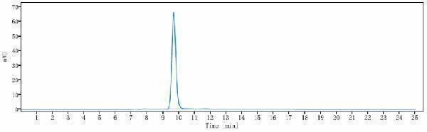 The purity of Anti-NRP1/VEGF165R/CD304 Reference Antibody (vesencumab)is more than 100%