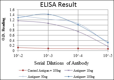 Western Blot analysis using FoxP2 Monoclonal Antibody against recombinant protein