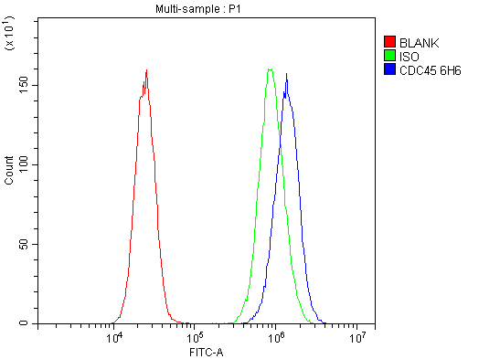 m01367 2 cdc45l primary antibodies fcm testing 9