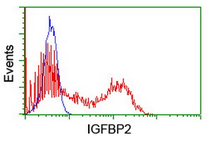 m01373 anti igfbp2 mouse monoclonal antibody clone id oti1a7 flow cytometry testing 3