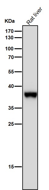 m01377 1 wb8