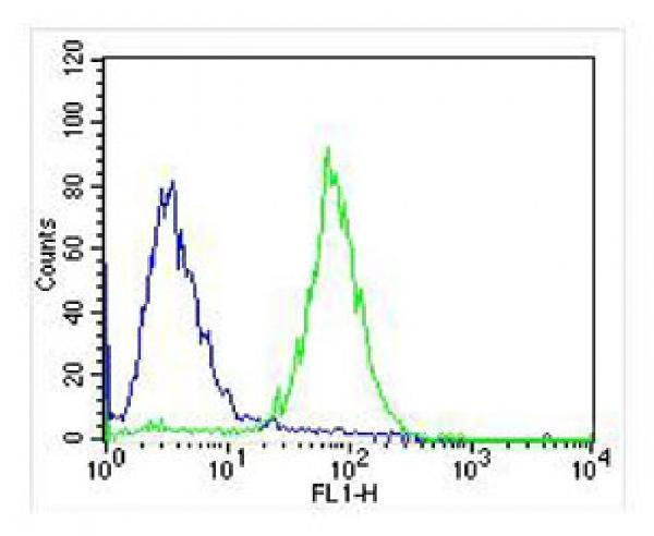 m01388 anti ntrk2 antibody fc testing 3
