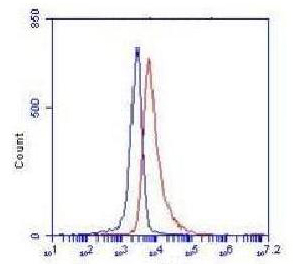 m01389 2 hk2 primary antibodies fcm testing 1