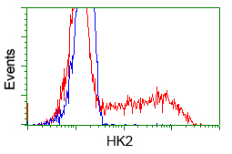 m01389 3 anti hexokinase ii hk2 mouse monoclonal antibody clone id oti4c5 flow cytometry testing 3