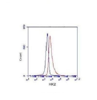 m01389 hk2 primary antiboties fcm testing 2