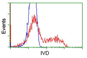 HEK293T cells transfected with either IVD (Myc-DDK-tagged) overexpress plasmid (Red) or empty vector control plasmid (Blue) were immunostained by anti-IVD antibody (M01404)