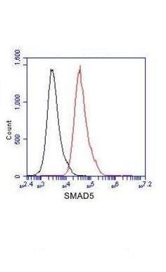 Flow Cytometry analysis of Jurkat cells stained with SMAD5 (red, 1/100 dilution), followed by FITC-conjugated goat anti-mouse IgG