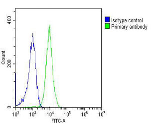 m01449 1 anti pgk1 antibody fc testing 4