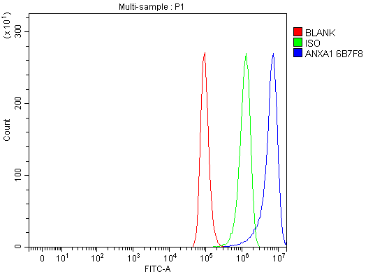 m01451 3 anxa1 primary antibodies fcm testing 5