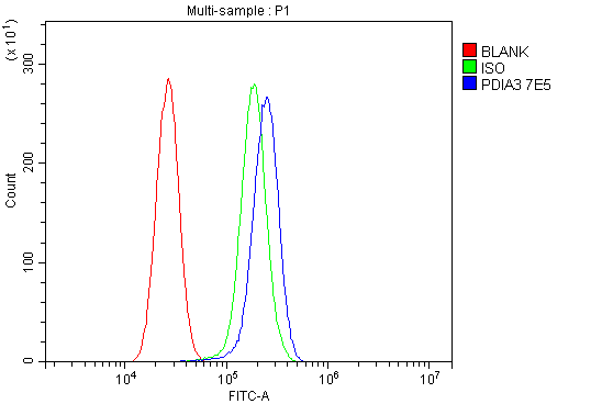  Flow Cytometry analysis of U87 cells using anti-ERp57 antibody (M01464-4)